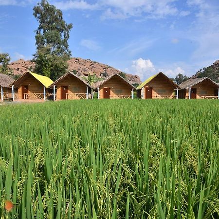 Dream Mango Hampi Otel Dış mekan fotoğraf